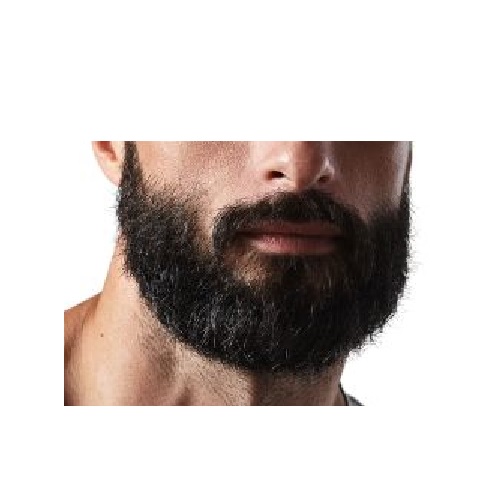 beard.jpg