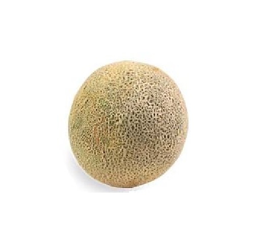 cantaloupe.jpg