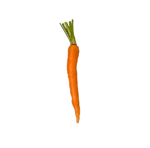 carrot.jpg