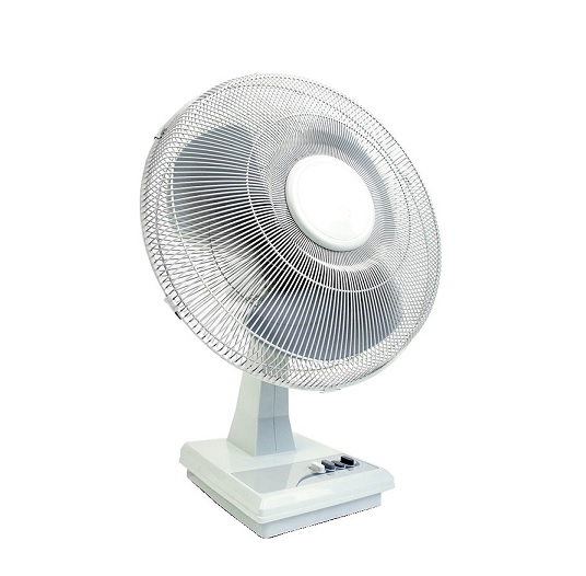 fan