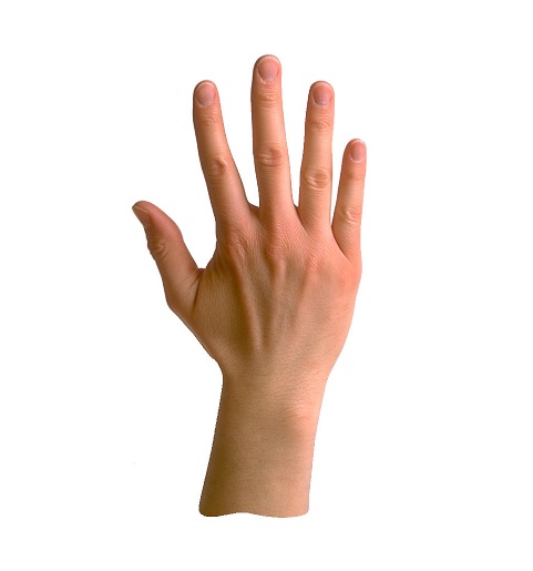 hand.jpg