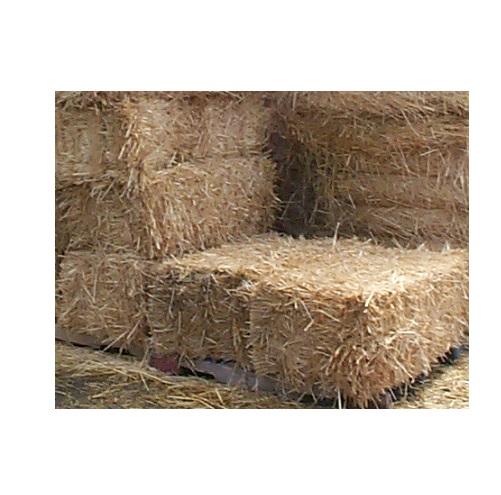 hay.jpg