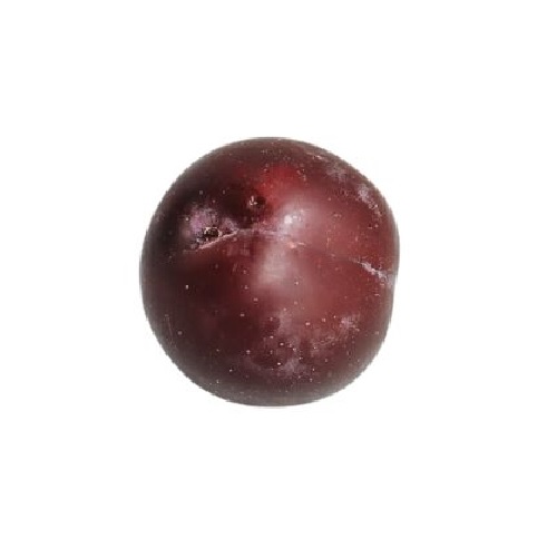 plum.jpg