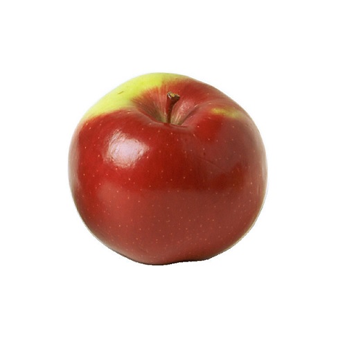 apple in verbal behavior  category