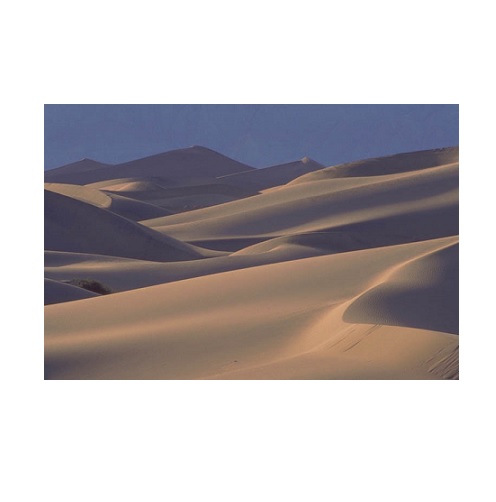 desert in verbal behavior  category