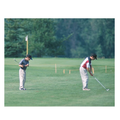 golf in verbal behavior  category