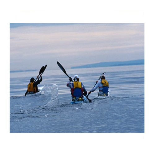 kayaking in verbal behavior  category