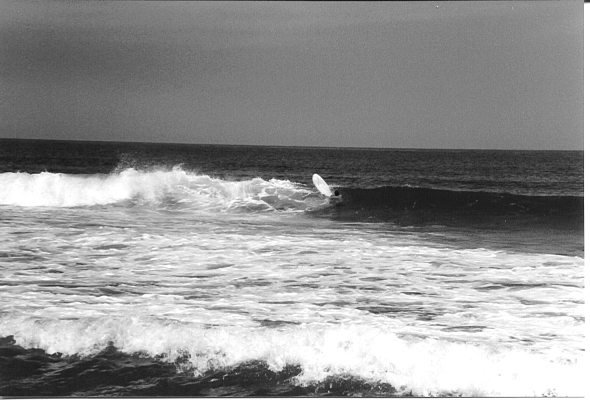 ocean in verbal behavior  category