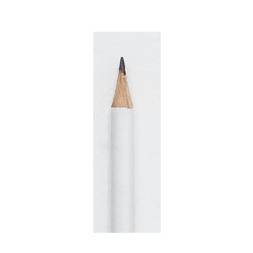 pencil in verbal behavior  category