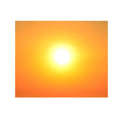 sun in verbal behavior  category