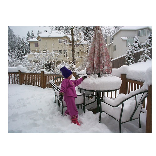 winter in verbal behavior  category